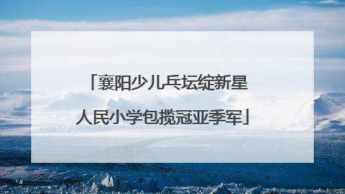 襄阳少儿乓坛绽新星 人民小学包揽冠亚季军
