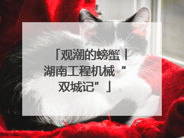 观潮的螃蟹丨湖南工程机械“双城记”