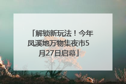 解锁新玩法！今年凤溪地万物集夜市5月27日启幕