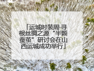 运城时装周·寻根丝绸之源“半颗蚕茧”研讨会在山西运城成功举行