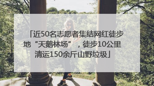近50名志愿者集结网红徒步地“天鹅林场”，徒步10公里清运150余斤山野垃圾