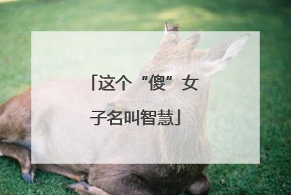 这个“傻”女子名叫智慧