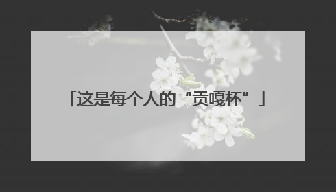 这是每个人的“贡嘎杯”