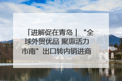 进解促在青岛｜“全球外贸优品 聚惠活力市南”出口转内销进商超专场活动启动