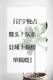 辽宁独占鳌头！东北县域十强榜单揭晓