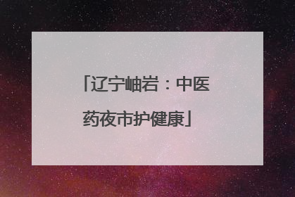 辽宁岫岩：中医药夜市护健康