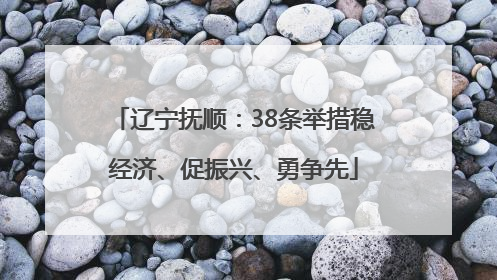 辽宁抚顺：38条举措稳经济、促振兴、勇争先