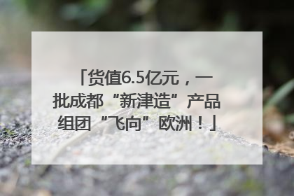 货值6.5亿元，一批成都“新津造”产品组团“飞向”欧洲！
