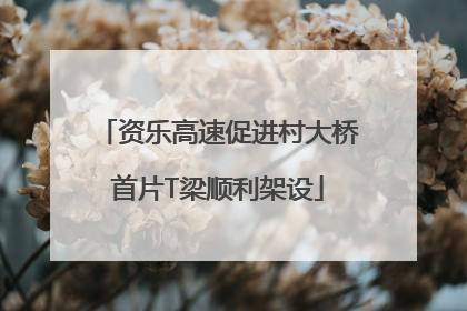 资乐高速促进村大桥首片T梁顺利架设