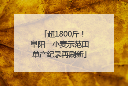 超1800斤！阜阳一小麦示范田单产纪录再刷新