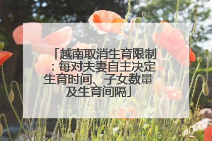 越南取消生育限制：每对夫妻自主决定生育时间、子女数量及生育间隔