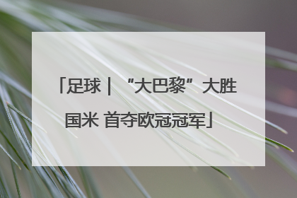 足球｜“大巴黎”大胜国米 首夺欧冠冠军