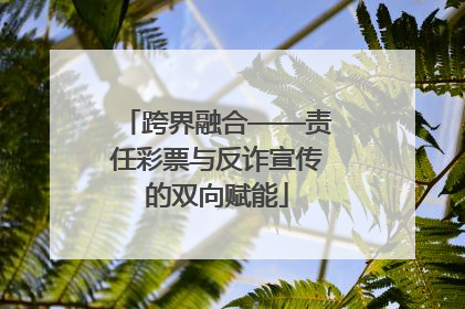 跨界融合——责任彩票与反诈宣传的双向赋能