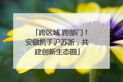 跨区域 跨部门！安徽携手沪苏浙，共建创新生态圈
