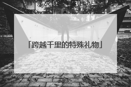 跨越千里的特殊礼物