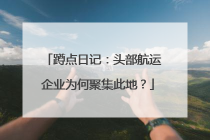 蹲点日记：头部航运企业为何聚集此地？
