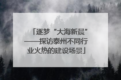 逐梦“大海新晨”——探访泰州不同行业火热的建设场景