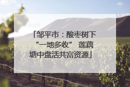 邹平市：酸枣树下“一地多收” 莲藕塘中盘活共富资源