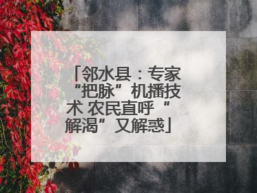邻水县：专家“把脉”机播技术 农民直呼“解渴”又解惑