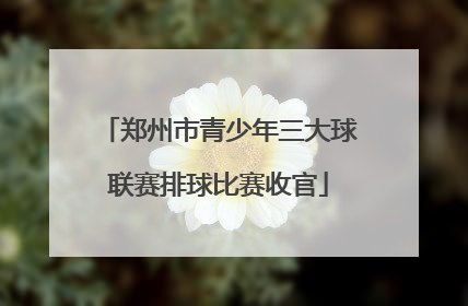 郑州市青少年三大球联赛排球比赛收官