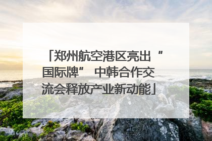 郑州航空港区亮出“国际牌” 中韩合作交流会释放产业新动能