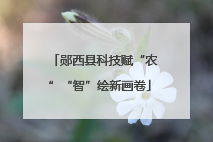 郧西县科技赋“农”“智”绘新画卷