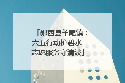 郧西县羊尾镇：六五行动护碧水 志愿服务守清波