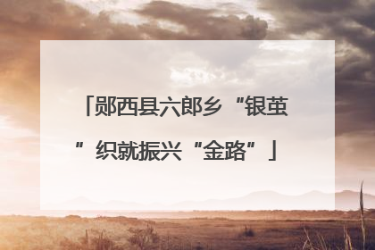 郧西县六郎乡“银茧”织就振兴“金路”