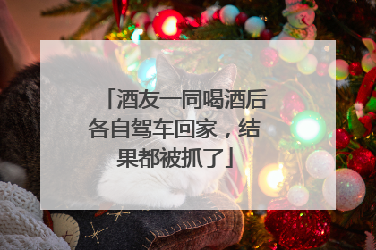 酒友一同喝酒后各自驾车回家，结果都被抓了
