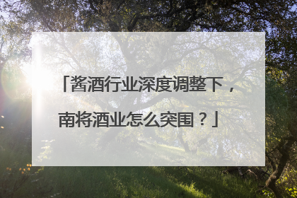 酱酒行业深度调整下，南将酒业怎么突围？