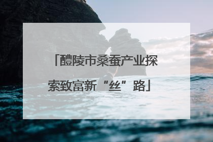 醴陵市桑蚕产业探索致富新“丝”路