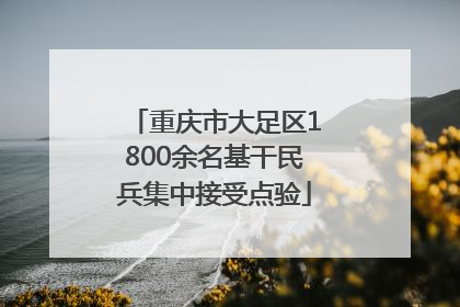 重庆市大足区1800余名基干民兵集中接受点验