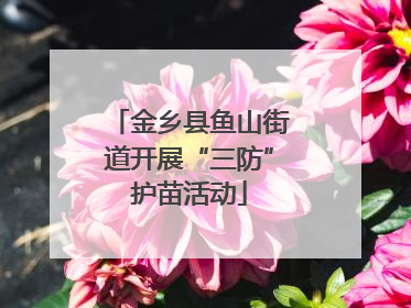 金乡县鱼山街道开展“三防”护苗活动