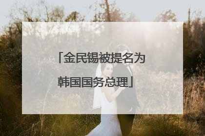 金民锡被提名为韩国国务总理