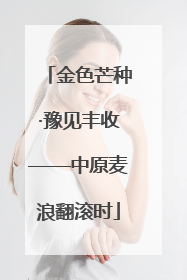 金色芒种·豫见丰收——中原麦浪翻滚时
