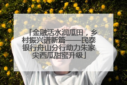 金融活水润瓜田，乡村振兴谱新篇——民泰银行舟山分行助力朱家尖西瓜甜蜜升级