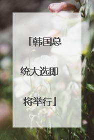 韩国总统大选即将举行