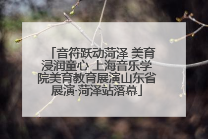 音符跃动菏泽 美育浸润童心 上海音乐学院美育教育展演山东省展演·菏泽站落幕