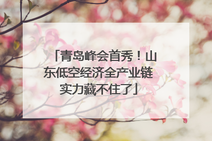 青岛峰会首秀！山东低空经济全产业链实力藏不住了