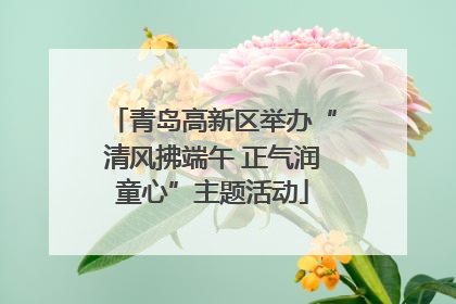 青岛高新区举办“清风拂端午 正气润童心”主题活动