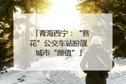 青海西宁：“簪花”公交车站扮靓城市“颜值”