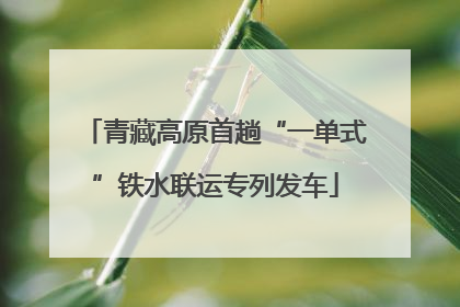 青藏高原首趟“一单式”铁水联运专列发车