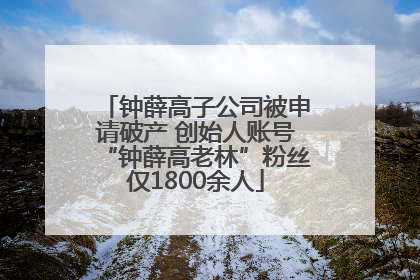 钟薛高子公司被申请破产 创始人账号“钟薛高老林”粉丝仅1800余人