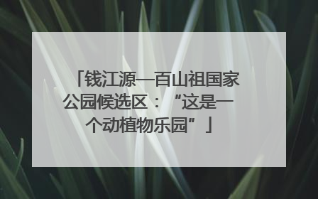 钱江源—百山祖国家公园候选区：“这是一个动植物乐园”