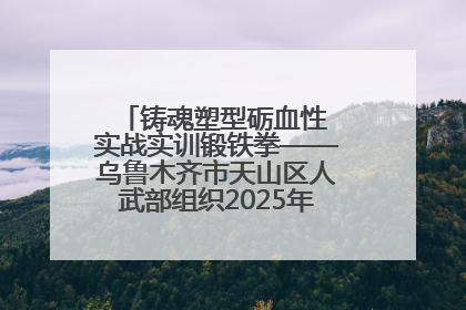 铸魂塑型砺血性 实战实训锻铁拳——乌鲁木齐市天山区人武部组织2025年度民兵集中轮训