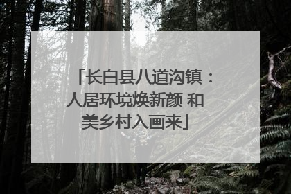 长白县八道沟镇：人居环境焕新颜 和美乡村入画来