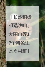 长沙积极打造沩山、大围山等17个特色生态乡村群