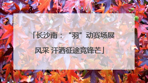 长沙南：“羽”动赛场展风采 汗洒征途竞锋芒