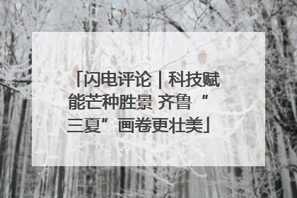 闪电评论｜科技赋能芒种胜景 齐鲁“三夏”画卷更壮美