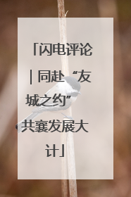 闪电评论｜同赴“友城之约” 共襄发展大计